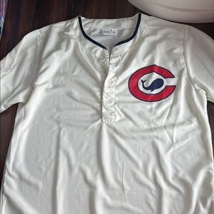 Cubs Baseball Jersey